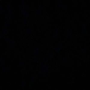 Meet your Posher, Abigail